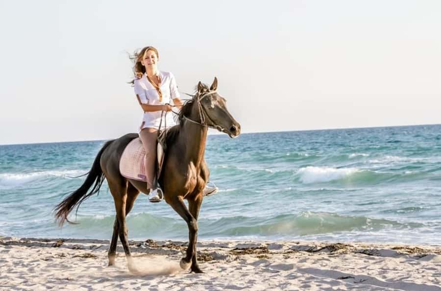 Doha : Arabian Horse Ride Experience With Transfer - Why This Doha Horse Ride Works So Well