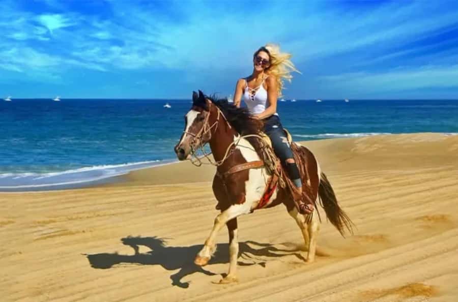 Doha : Arabian Horse Ride Experience With Transfer - Sealine, Qatar Stop: Where the Photos and Prep Happen