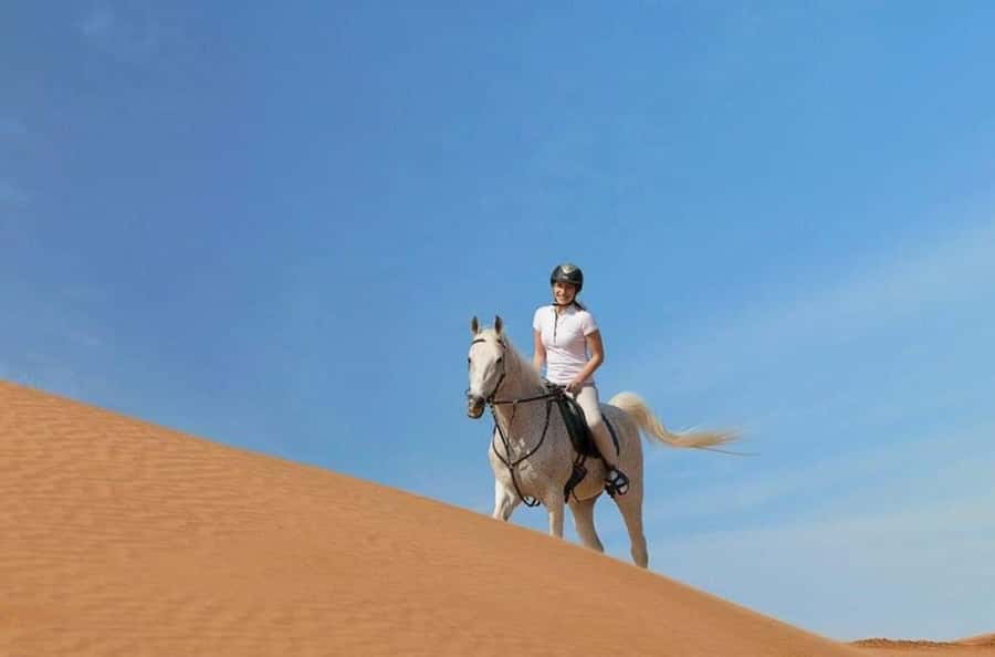 Doha : Arabian Horse Ride Experience With Transfer - Inland Sea Drive Time: Scenic Views Without the Pressure