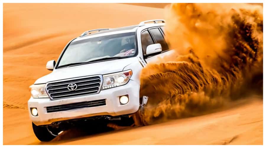Doha : Arabian Horse Ride Experience With Transfer - Who This Arabian Horse Ride Is Best For