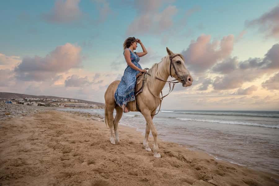Doha : Arabian Horse Ride Experience With Transfer - Getting From Doha: The Transfer Part You Shouldn’t Ignore