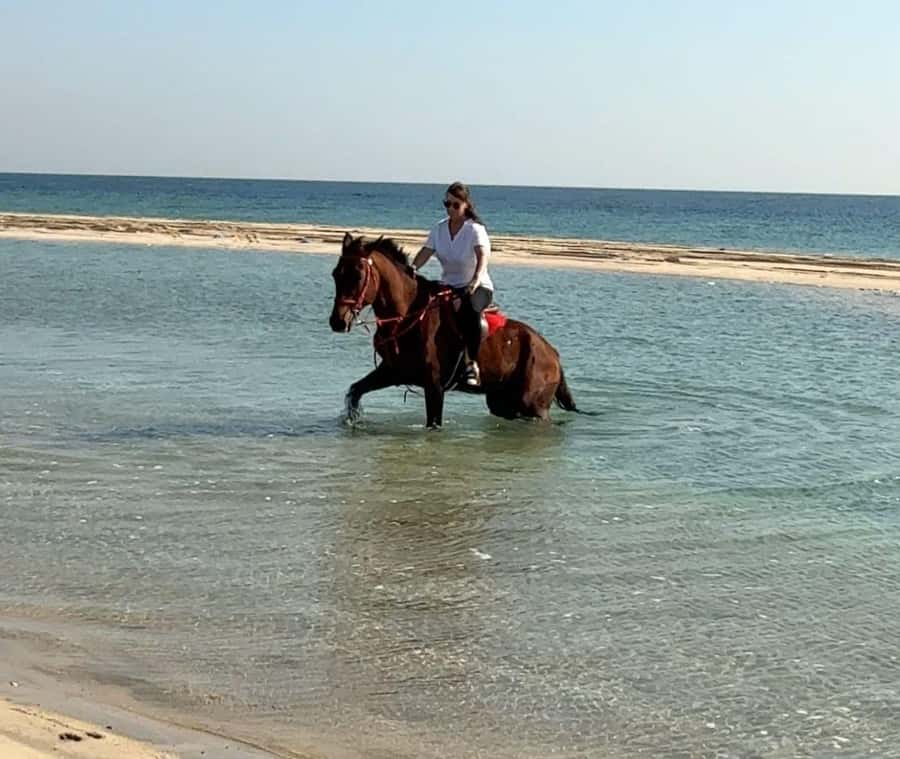 Doha: Arabian Horse Riding Experience –Sea or Desert Options - Meet your guide and your Arabian horse