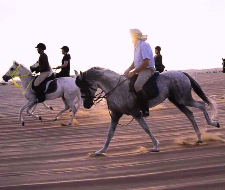 Doha: Arabian Horse Riding Experience –Sea or Desert Options - The desert hour: dunes, pacing, and the fun part