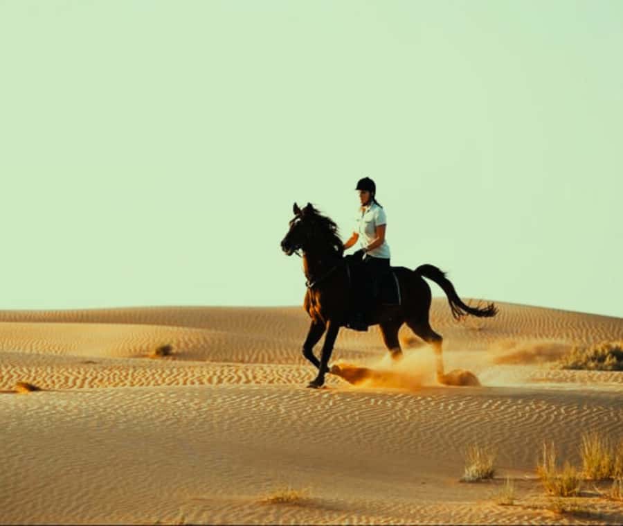 Doha: Arabian Horse Riding Experience –Sea or Desert Options - Photography, water or tea, and the comforts you’ll feel