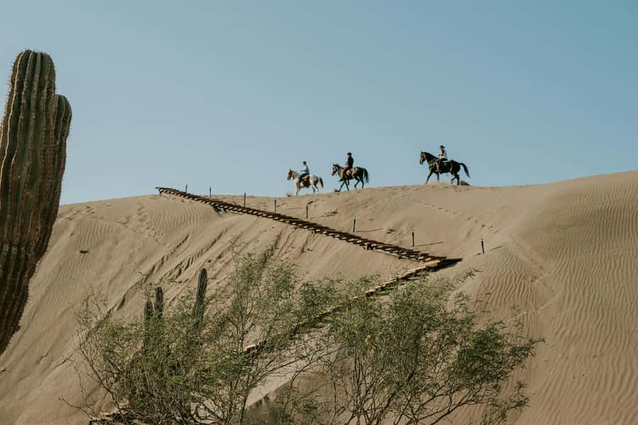 Doha: Arabian Horse Riding Experience –Sea or Desert Options - Price and value: is $123 per person fair?
