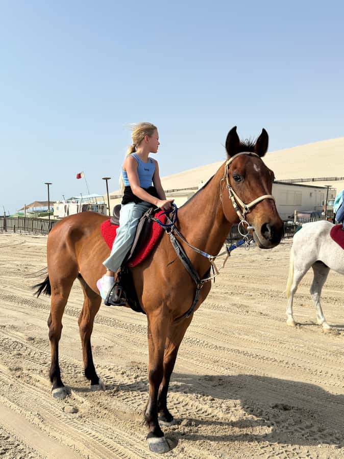 Doha: Arabian Horse Riding Experience –Sea or Desert Options - Who this fits best, and who should skip it