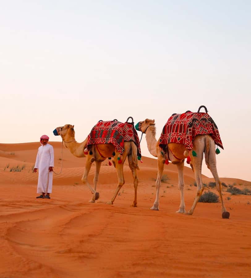 Doha: ATV/Desert Safari with Activities and Inland Sea Stop - Optional quad biking: extra adrenaline, extra responsibility