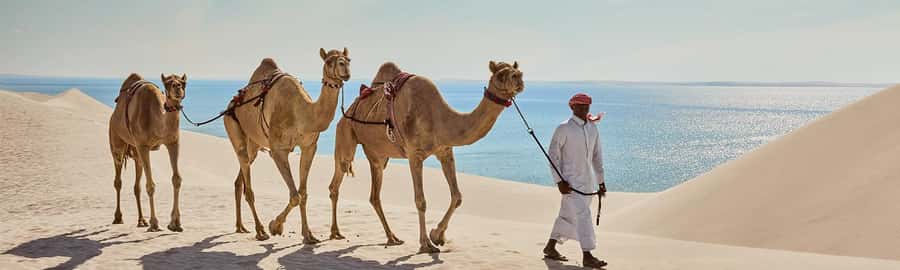 Doha: ATV/Quad, Safari 4x4, Camels, Sandboarding& Inland Sea - Camel ride break, the calmer moment you’ll actually remember