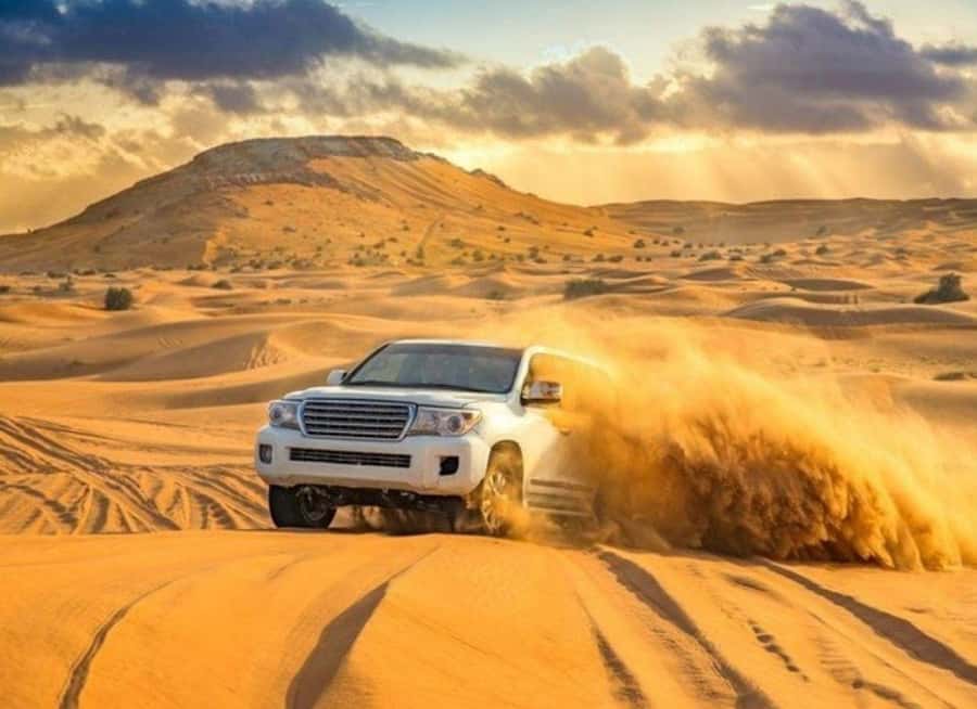 Doha: Budget Friendly Desert Safari,CamelRide & Sandboarding - Key highlights worth your time