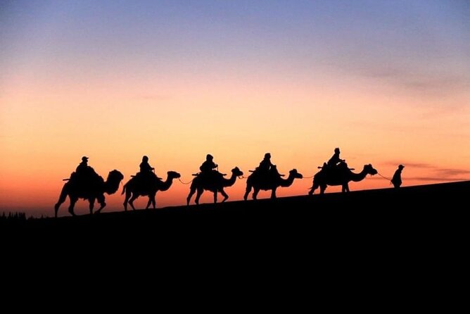 Doha City and Desert Safari Tours (Combo Tour) - The desert part: Sealine Beach prep, dune bashing, and photos
