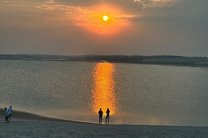 Doha Combo a Rich Heritage from the Desert to the City - Stop 2: Sealine Beach camel ride plus Bedouin tents and tea