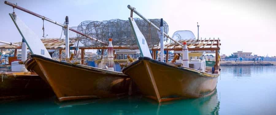 Doha: Combo Heritage & Art Tour of North and West Qatar - Al Ruwais: Coastal Qatar Before the Desert Gets Serious