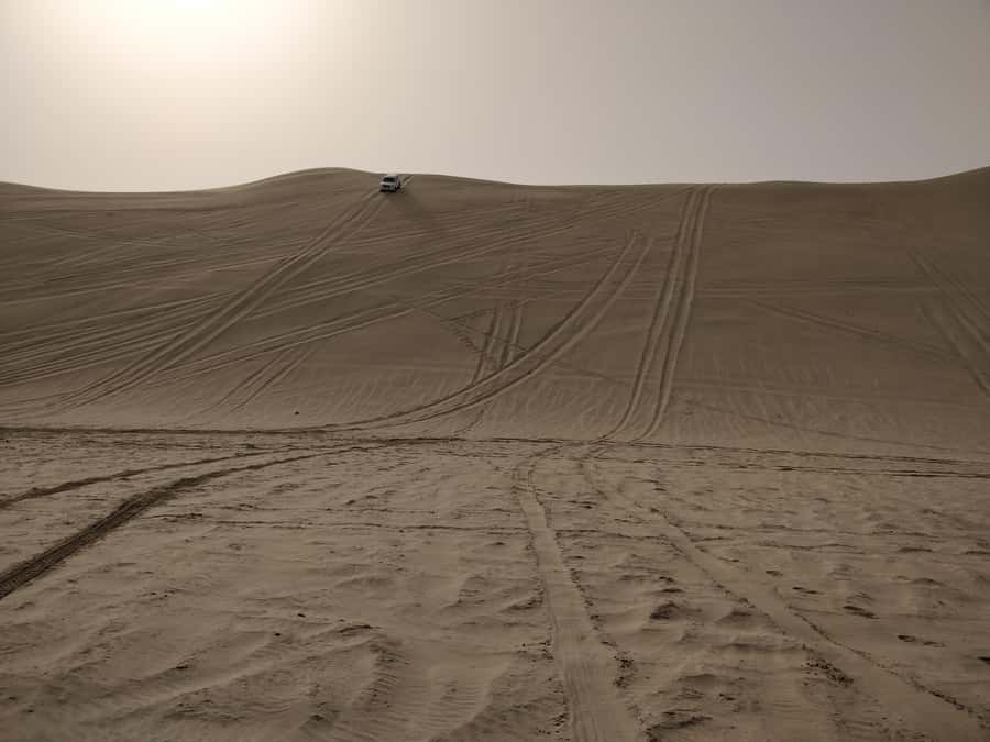 Doha: Combo Private Tour of Desert Safari with ATV Ride - ATV Quad Biking (350cc): The 30 Minutes That Feels Like the Main Event