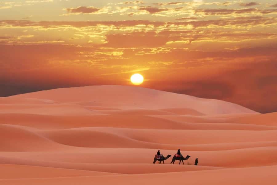 Doha: Desert 4x4, ATV/Quad, Camels, Sandboarding, Inland sea - Key highlights worth planning for