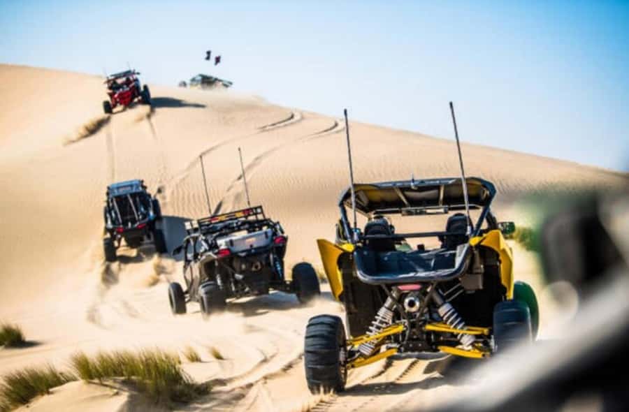 Doha: Desert Buggy Ride, Camel Ride, Dune Bashing, Sandboard - 4x4 Dune Bashing: adrenaline on steep slopes