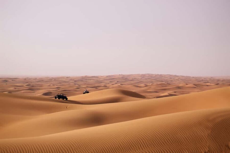 Doha Desert Excursion, Camel Ride, Inland sea, Sandboarding - Who should book this desert excursion