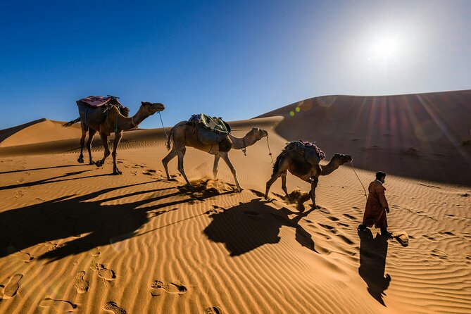Doha Desert Excursion Dune Bashing Sandboarding Camel Ride - Inland Sea Beach Stop: More Dunes and More Views