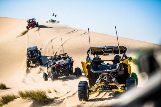 Doha Desert Quad Bike adventure with group, and Sand dune Driving - Who This Doha Desert Quad Tour Suits Best