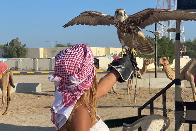 Doha Desert Safari Camel Ride Dune Bashing and ATV Bike - Photo moments that fit the desert setting: falcon time and golden light