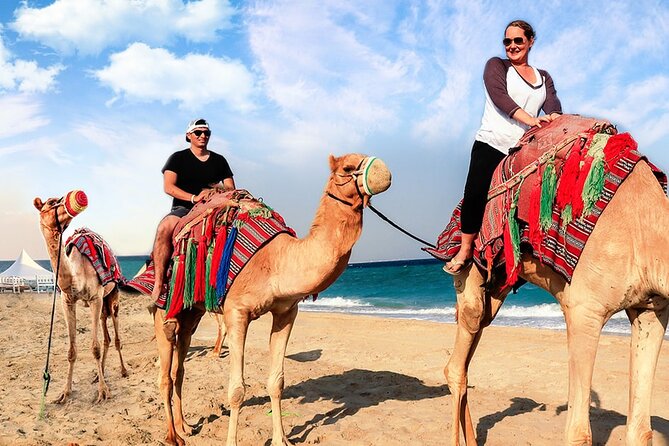 Doha Desert Safari Camel Ride, Sandboarding and Inland Sea - Camel ride over the dunes: classic vibe, and how to plan for timing