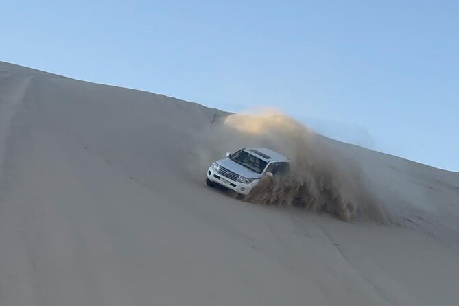 Doha Desert Safari Dune Bashing Camel Ride - Falcon Photos and Traditional Camp Tea Breaks