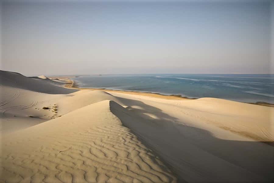 Doha: Desert Safari Dune Bashing, Sandboarding, & Camel Ride - Shared vs Private: Who This Tour Fits Best