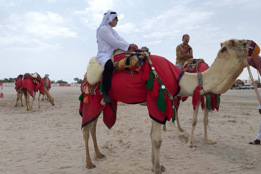 Doha: Desert Safari Dune Bashing, Sandboarding, & Camel Ride - Timing and Motion: The Half-Day Schedule You Should Plan Around