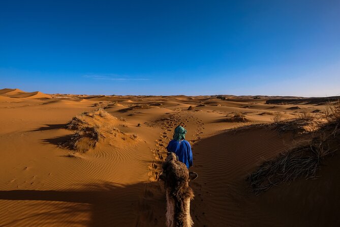 Doha Desert Safari Dune bashing,Sandboarding,CamelRide,Inland Sea - How to Get the Most From Your 4-Hour Desert Safari