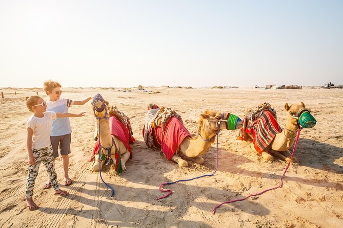 Doha Desert Safari: Dunebashing, Camel, Sandboarding & Inland Sea - Getting From Doha: Pickup, 4x4 Comfort, and Dune-Ready Tyres