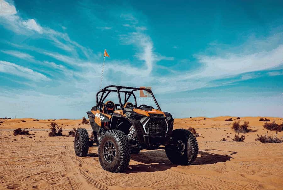 Doha: Desert Safari Experience – Quad Bike, Buggy/Camel Ride - Doha Desert Safari, Quad Bike Option, and Camel Ride: what this day is really like