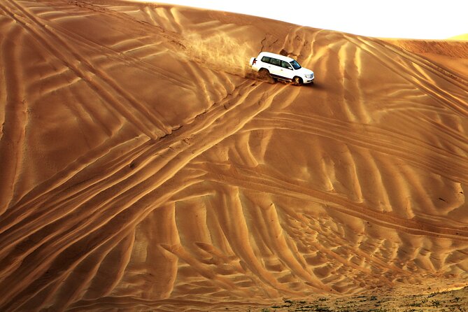 Doha Desert Safari Full day With Dinner,Dune Bashing,Sandboarding - Sealine Beach Stop: Quick Scenic Break and the Camel Ride Add-On