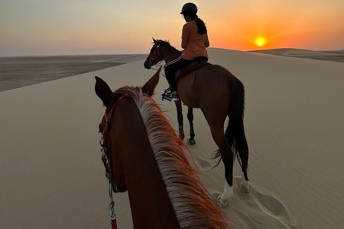 Doha Desert Safari Horse Riding, Camel Ride, ATVs & Inland Sea - Quick take: why this Doha safari hits