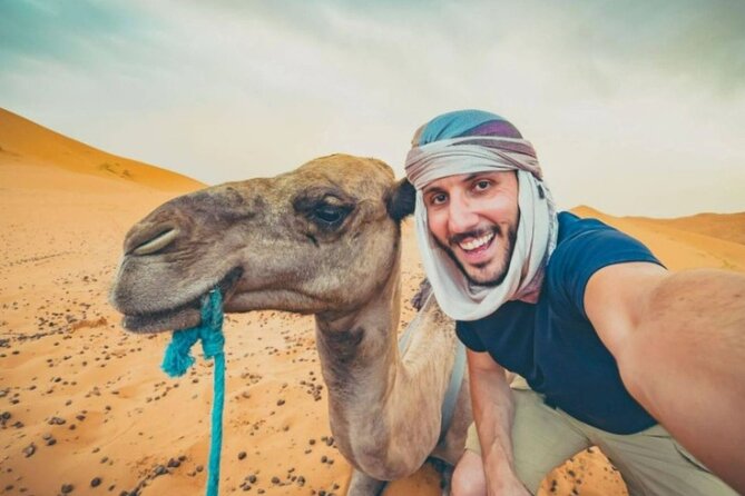 Doha Desert Safari Horse Riding, Camel Ride, ATVs & Inland Sea - Sealine Beach: Arabian horse riding session