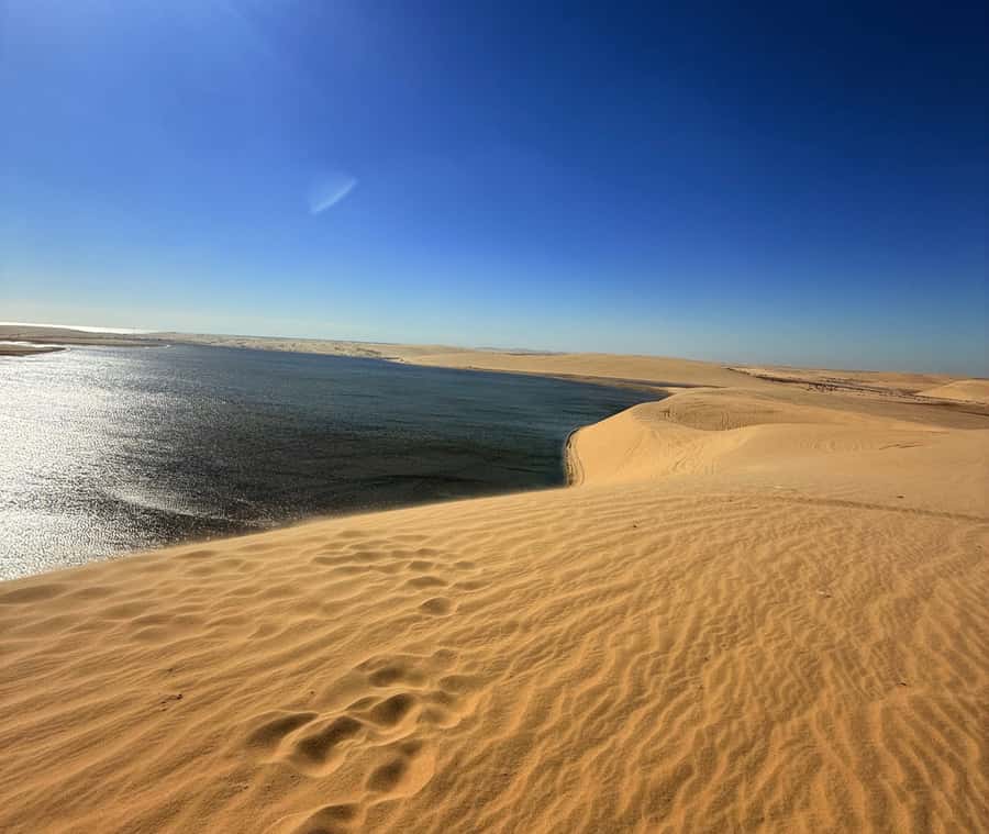 Doha: Desert Safari, Quad Bike, Camel Ride & Inland Sea - Quad Bike Session: 250-300cc Fun and the 30-Minute vs 60-Minute Choice
