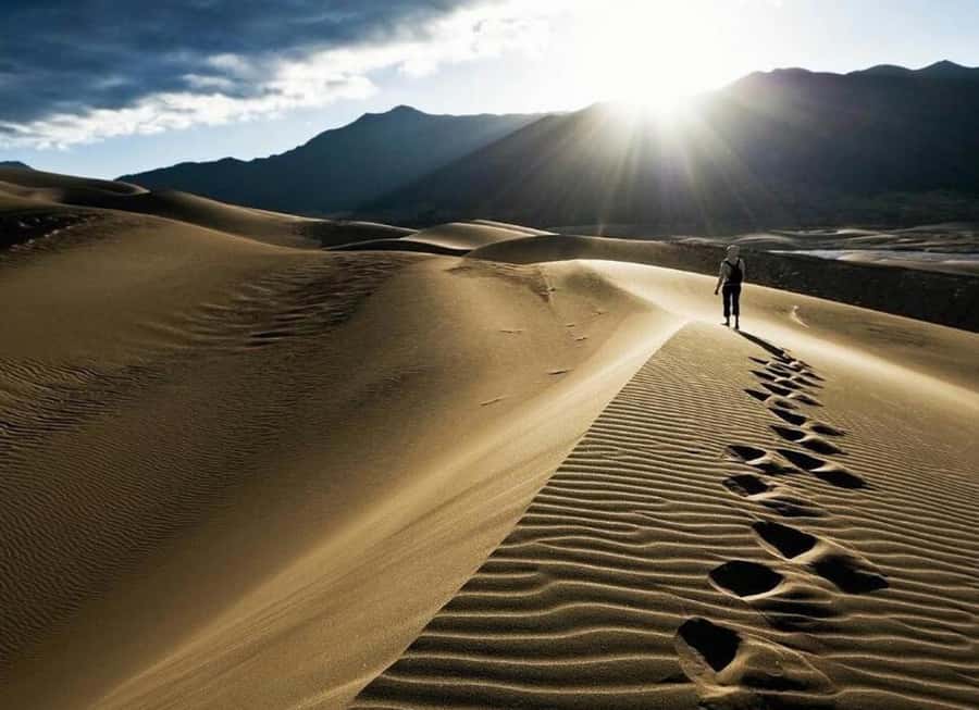 Doha: Desert Safari, Quad Biking, Sand Boarding & Camel Ride - Key Things You Can Look Forward To