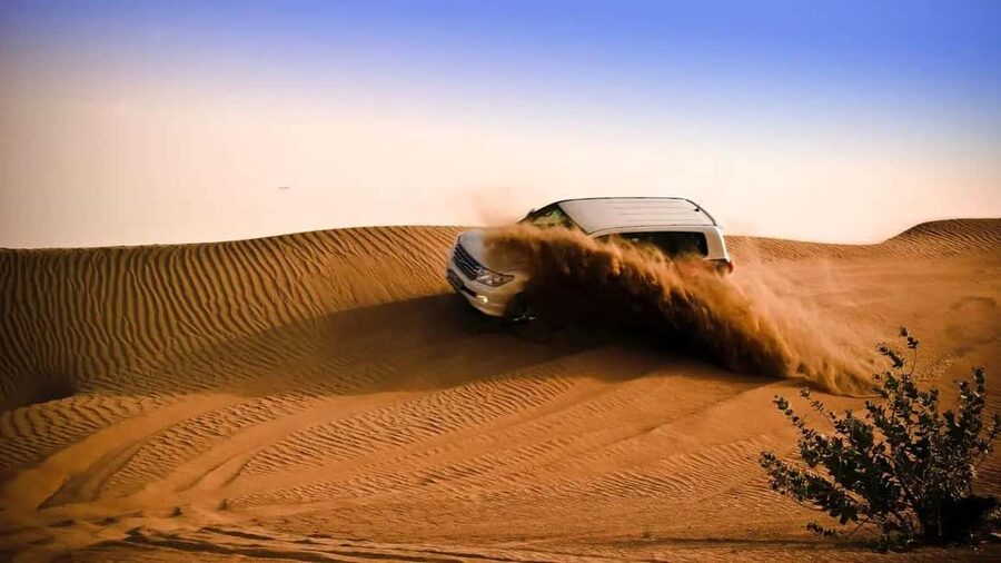 Doha: Desert Safari, Sandboarding, Camel Ride and Inland Sea - Why the Inland Sea stop changes the whole vibe
