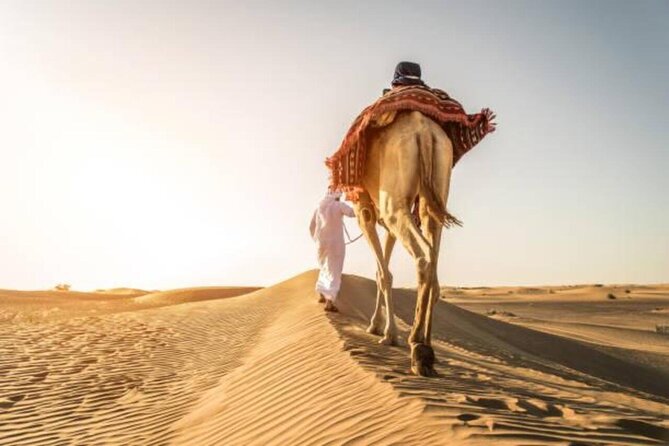 "Doha Desert : Safari, Sandboarding, Camel Ride & Inland Sea" - Safety, Driver Skill, and the Human Touch