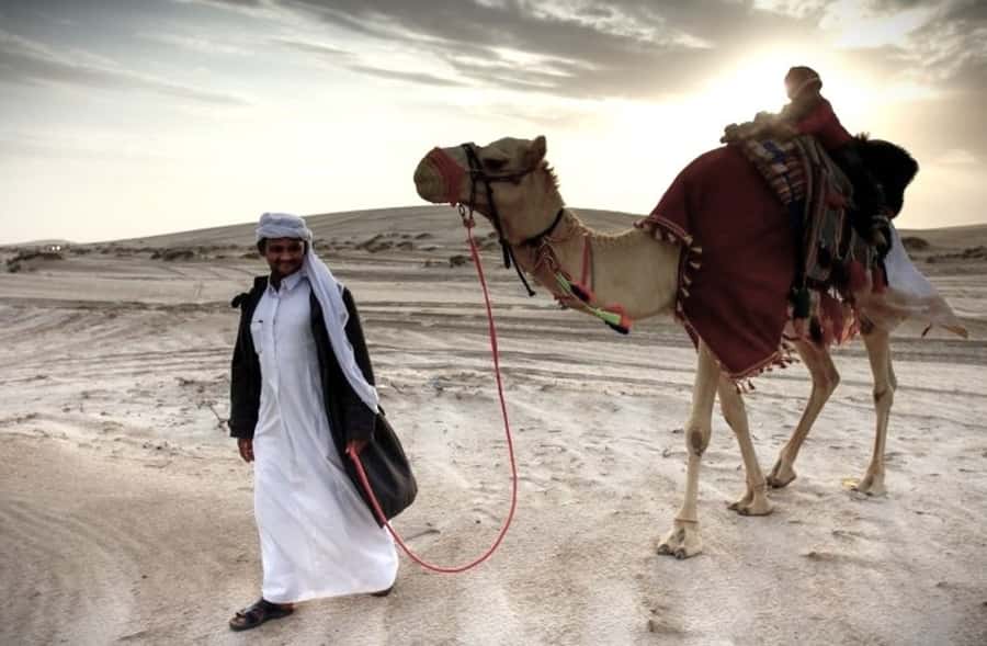 Doha Desert Safari: Sandboarding, Camel Ride & Swimming Fun - From Doha pickup to desert jeep: how the timing really works