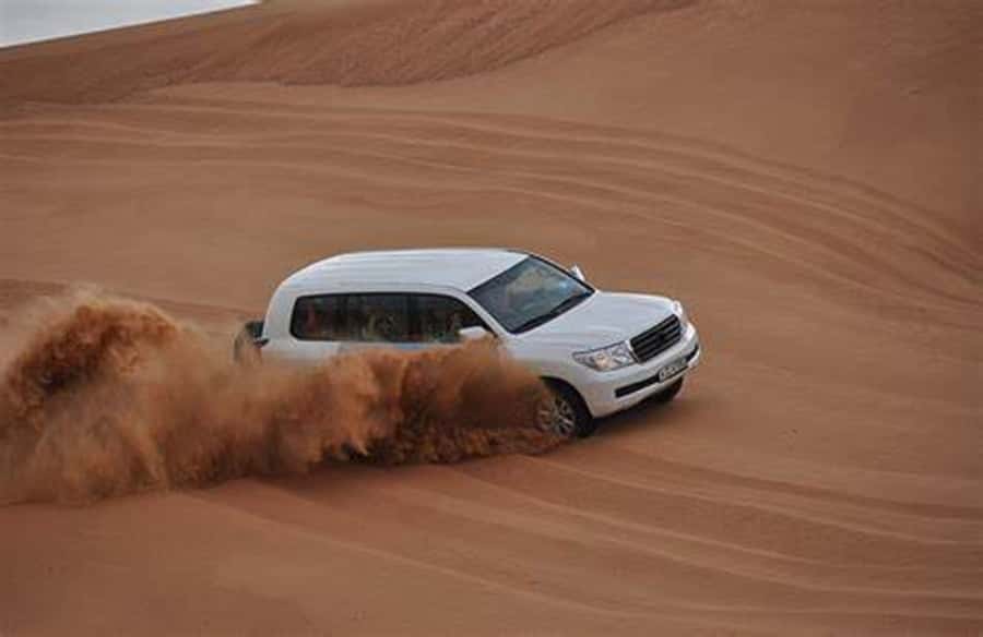 Doha Desert Safari: Sandboarding, Camel Ride & Swimming Fun - Sandboarding on towering dunes: what to wear and how to stay in control