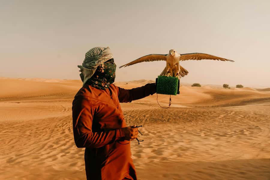 Doha: Desert Safari, Sandboarding, Dune Bashing & Inland Sea - Sandboarding at the Inland Sea: the included thrill you should not skip