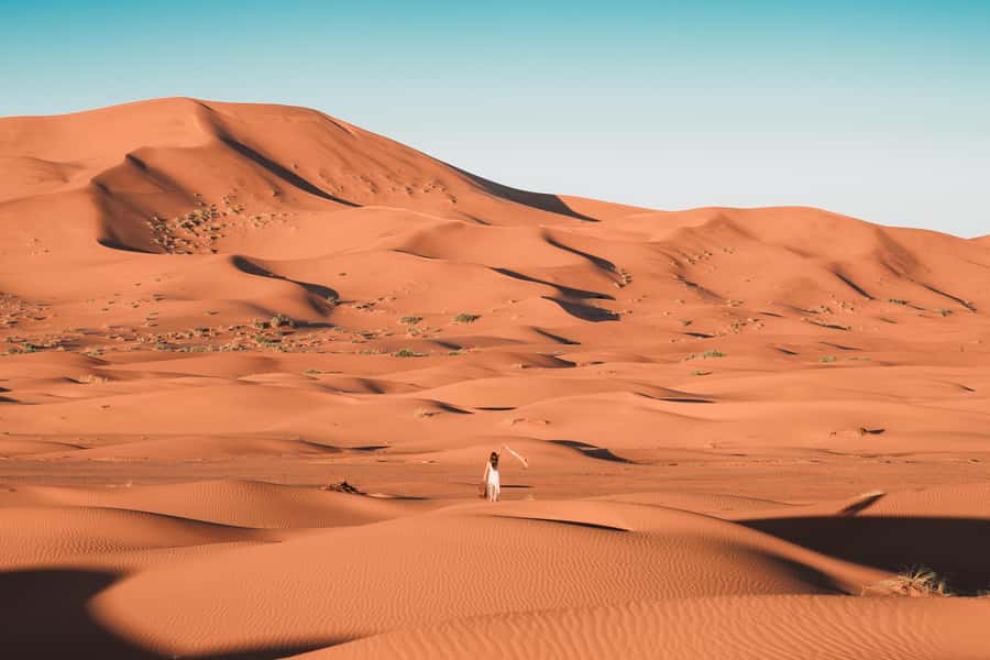 Doha: Desert Safari, Sandboarding, Dune Bashing & Inland Sea - Who should book this desert safari (and who should think twice)