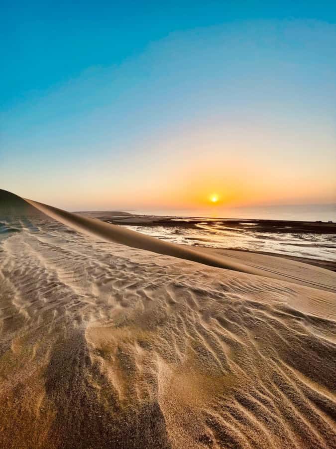 Doha: Desert Safari Sunrise Tour/Sunset Tour - Key highlights you should care about