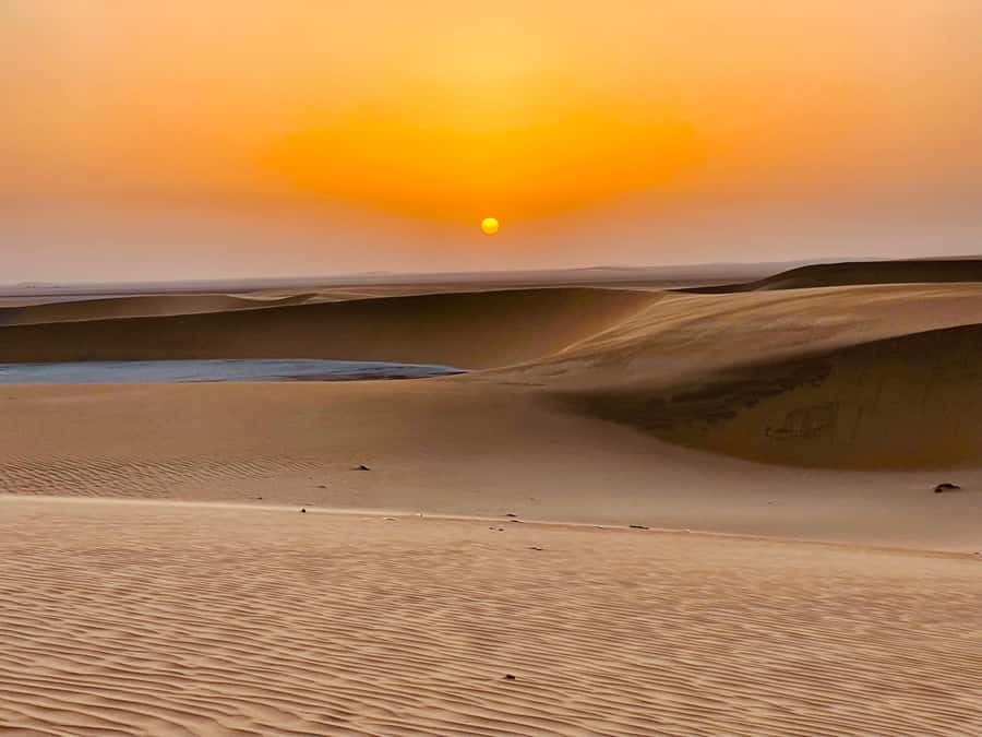 Doha: Desert Safari Sunrise Tour/Sunset Tour - Mesaieed Desert: The Doha Day Trip That Actually Feels Like the Desert