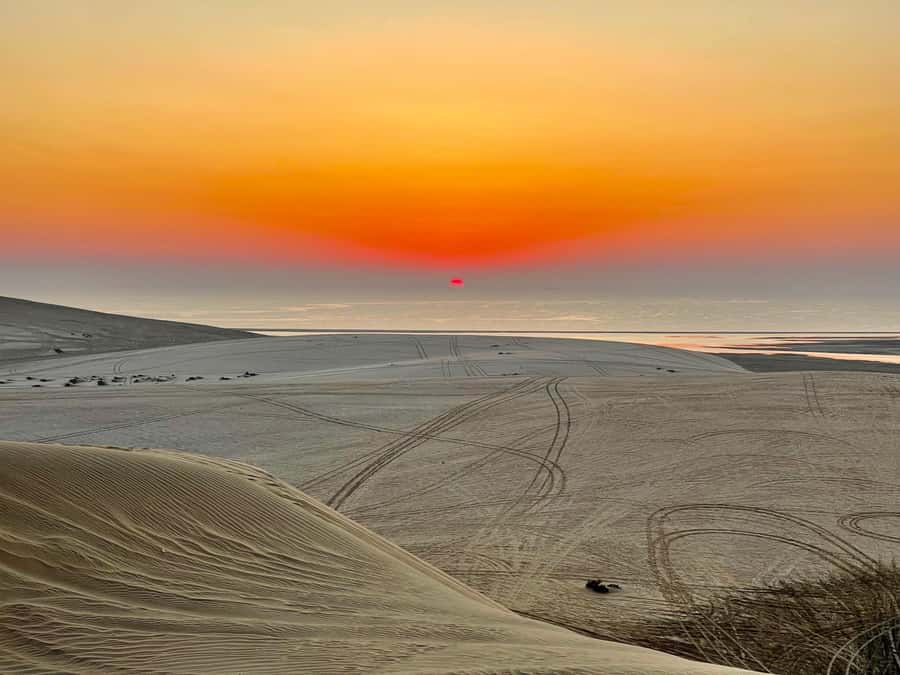Doha: Desert Safari Sunrise Tour/Sunset Tour - Mesaieed Photo Stop and Camel Ride: The Classic Qatar Moment