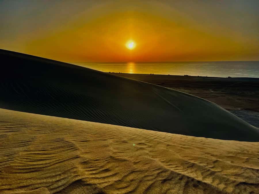 Doha: Desert Safari Sunrise Tour/Sunset Tour - Sunrise vs Sunset: Pick Your Mood, Not Just the Weather