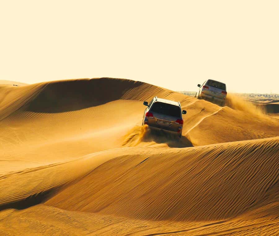 "Doha Desert Safari with all activities" - Pickup from Doha hotels, and what your ride will actually be like