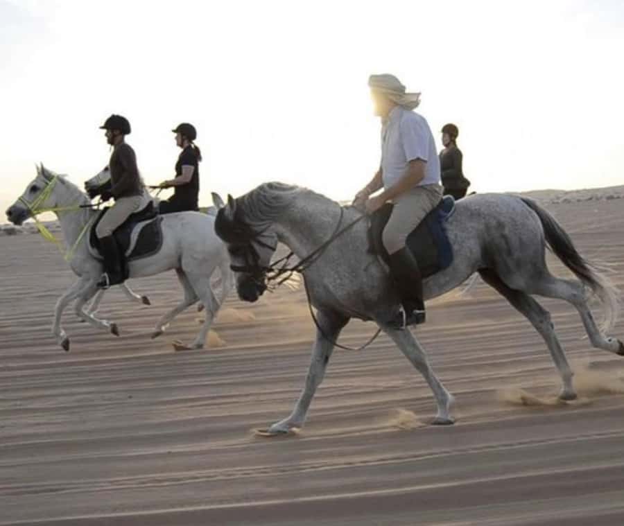 Doha: Desert Safari with Camel Ride and Quad Bike and Buggy - Doha pick-up to the sand, what the day really feels like