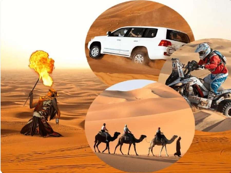 Doha:Desert Safari with Camel Ride, ATV Bike,& Sand Boarding - First, what this Doha desert safari feels like