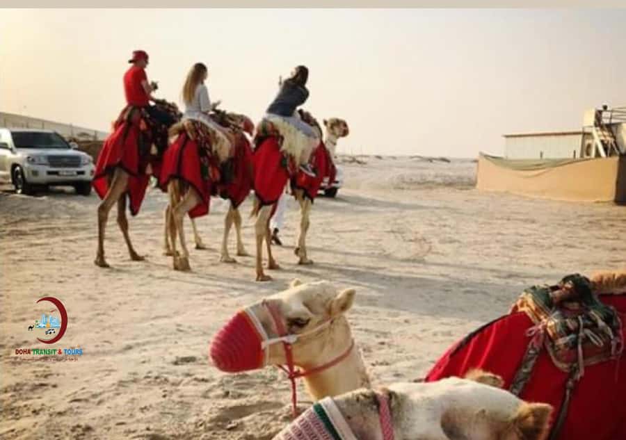 Doha: Desert Safari with Dune Bashing and Inland Sea - Pickup, Road Time, and What 4 Hours Really Feels Like
