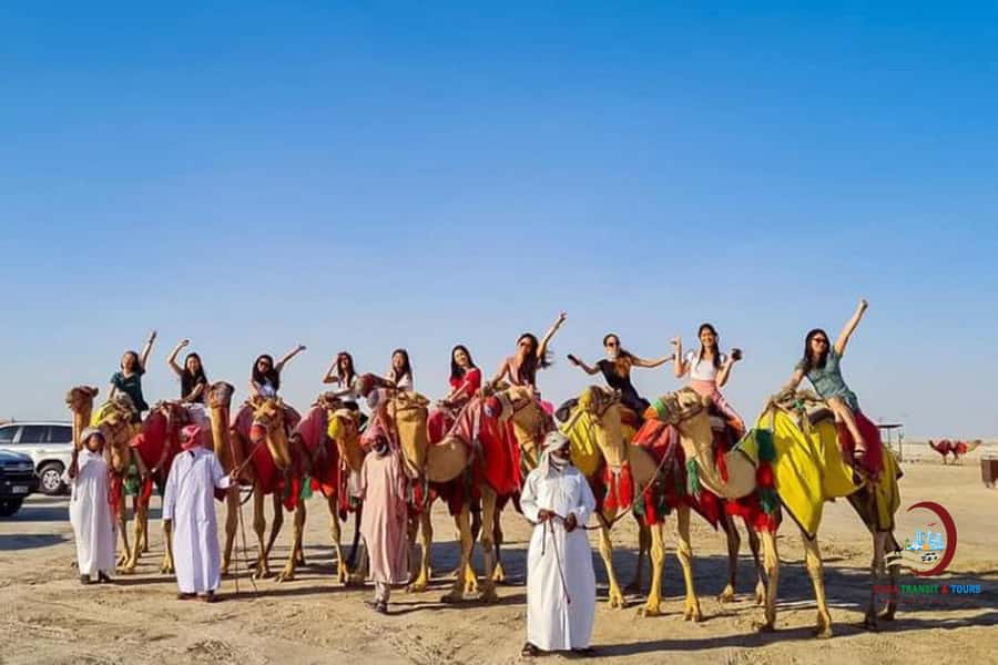 Doha: Desert Safari with Dune Bashing and Inland Sea - Guides and Service: What Makes the Experience Feel Worth It